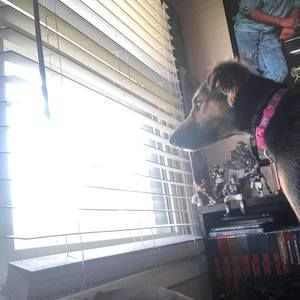 Meet your Posher, Stephen